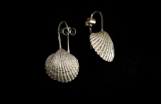 flat shell wire drop earrings