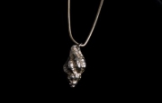 large shell snake chain